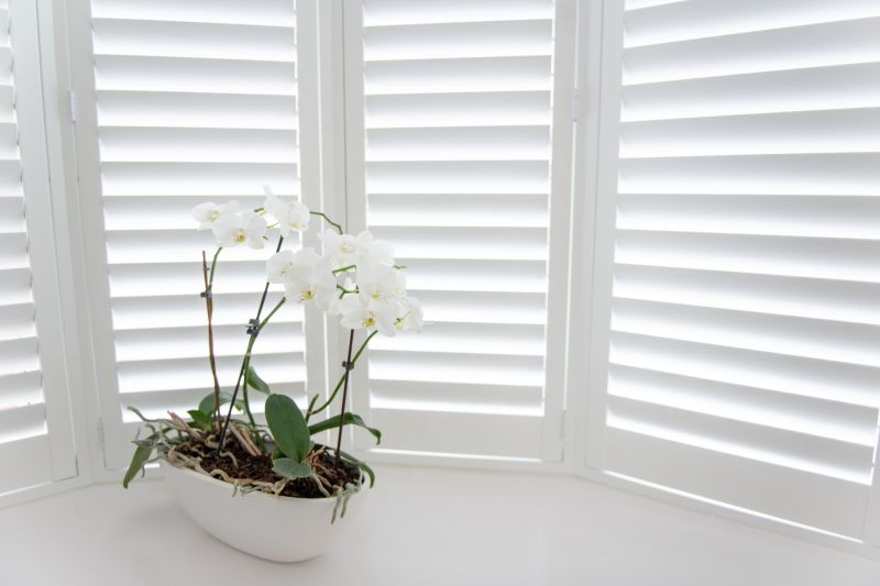 Louvered Shutters Installation in Arvada, CO